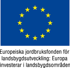 EU flagga