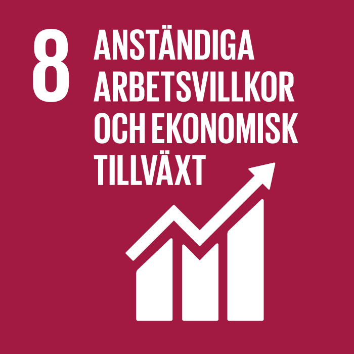 08 anstandiga arbetsvillkor och ekonomisk tillvaxt