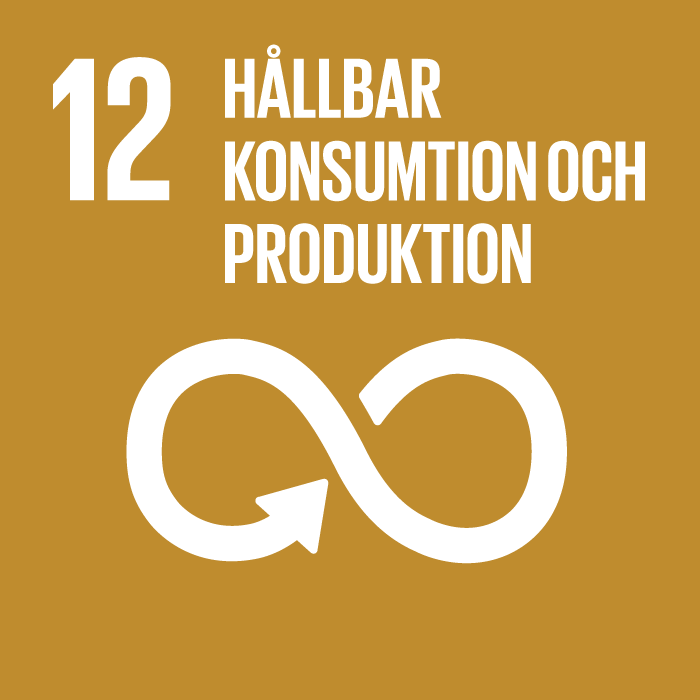 12 hallbar konsumtion och produktion